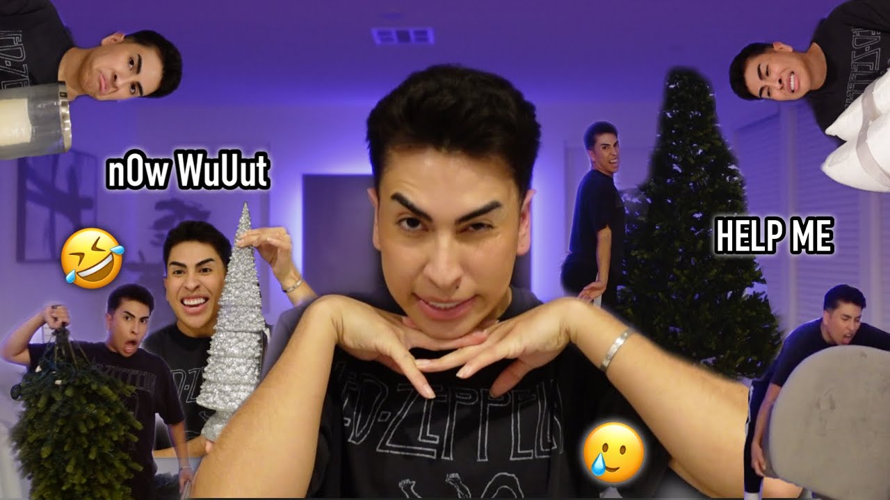 so I tried decorating for Christmas.. good luck charlie | Louie's Life