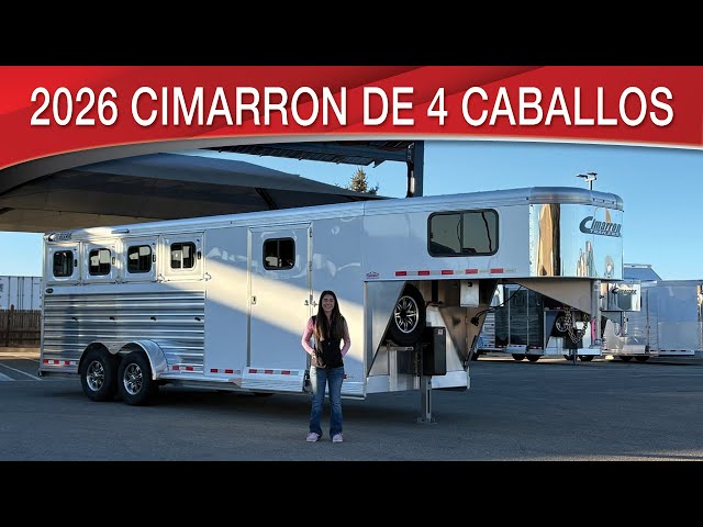 Preview image of the linked video