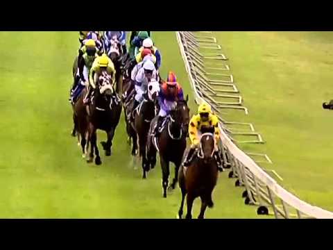 2016.01.30 J&b Urban Honey Stayers (RSA) - Ovidio