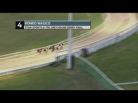 2022 GREYHOUND DERBY FINAL - ROMEO MAGICO