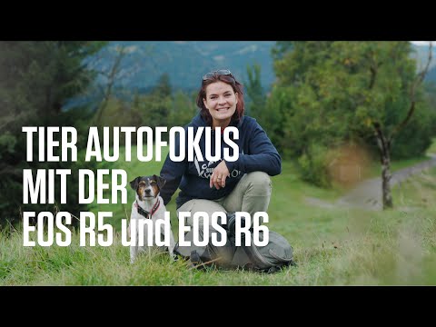 Canon Academy Hack: EOS R5 und EOS R6: Der Augen-AF für Tiere