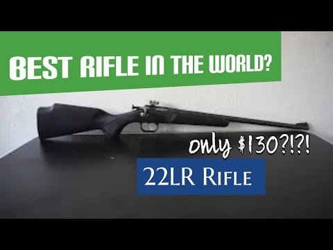 Crickett Rifle Impressions