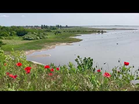 Cuckoo calling near Bunkeflo