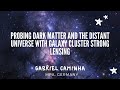 Probing dark matter and the distant Universe with galaxy cluster strong lensing