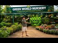Tanu Ki Pehli Nursery Visit 10000 Trees Dekhkar Hairaan Algorithm Aryankelvin