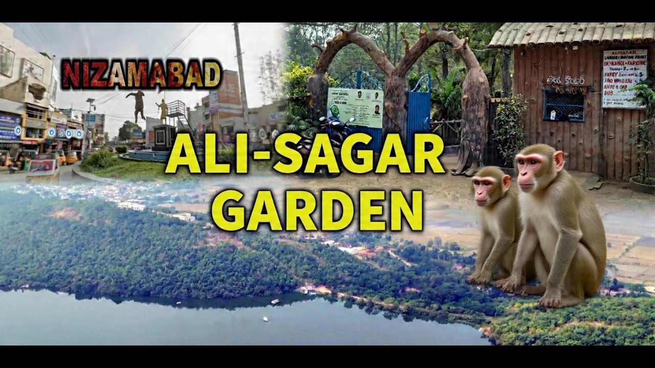 Ali Sagar Garden | Picnic Spot in Nizamabad Full Travel Guide #alisagargarden #nizamabad #viral #fyp
