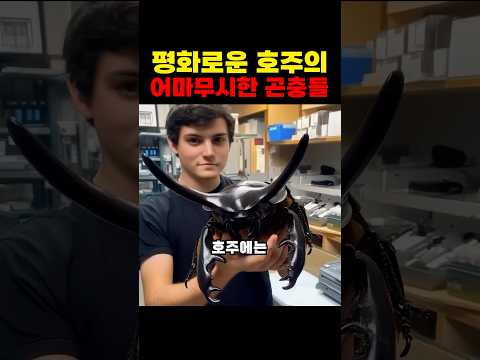 호주에 사는게 쉽지 않은 이유 ㄷㄷ