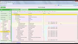 AccuFund Accounting Suite video