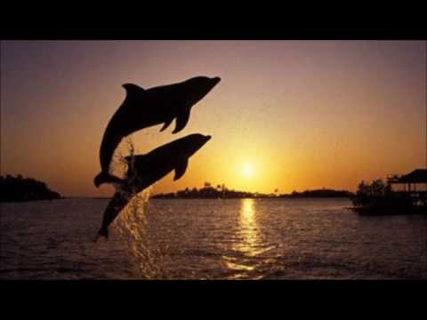 Karl Madis & Karavan - Lainetes