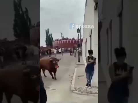 اخر فيديو حوار 😂😂