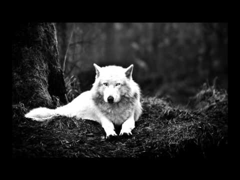 Adrian Sina Feat. Sandra N - Angel (South Blast! Nympho Angel Remix)