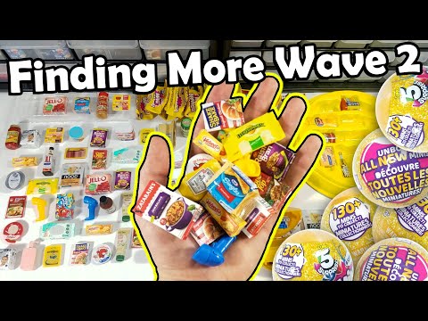 I Found More of the New Mini Brands Wave 2 + Opening Claire's Exclusive Collector's Case