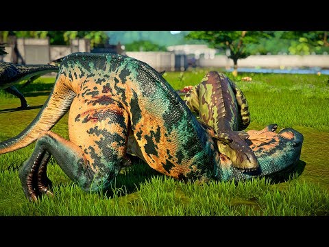 5 Acrocanthosaurus Vs 5 Albertosaurus - Jurassic World Evolution Dinosaurs Fighting