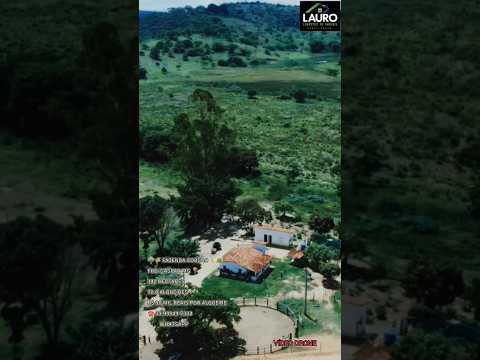 FAZENDA LUXO 342 HECTARES A VENDA EM MINAS GERAIS 90 MIL REAIS POR ALQUEIRE ☎️33.99902.8393