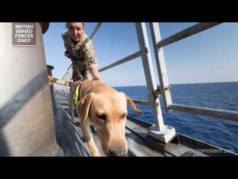 HMS Diamond Visits Cyprus | British Armed Forces Daily News