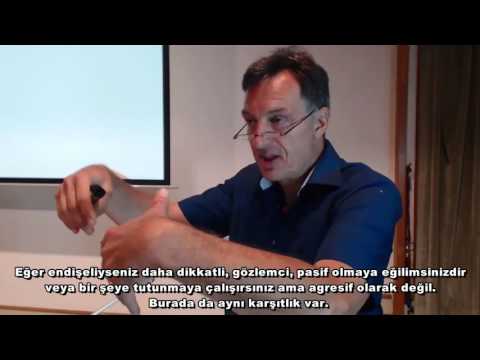 Schema Therapy with Couples, Eckhard Roediger's Workshop