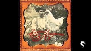 16 Horsepower - Horse Head