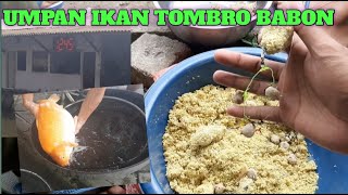 Download lagu Umpan mancing ikan tombro | ikan tombro babon paling suka umpan pepes lele mp3 Download lagu Umpan mancing ikan tombro | ikan tombro babon paling suka umpan pepes lele mp3