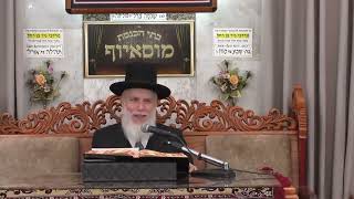 הרב זמיר כהן  •  דיני הטו' בשבט (בית הכנסת מוסאיוף) - התמונה מוצגת ישירות מתוך אתר האינטרנט יוטיוב. זכויות היוצרים בתמונה שייכות ליוצרה. קישור קרדיט למקור התוכן נמצא בתוך דף הסרטון