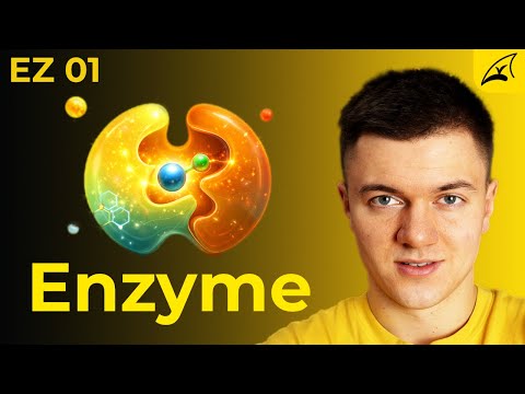 Was sind Enzyme? - einfach erklärt! // Induced Fit Modell, Aktivierungsenergie & Übergangszustand