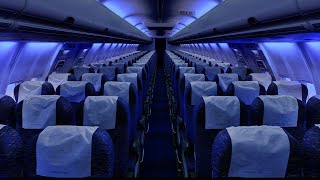 Airplane Cabin White Noise Jet Sounds  Great for S