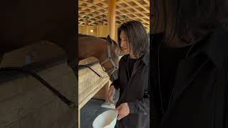 マキノ高原に行ってきたぞ！ #マキノ高原 #メタセコイア並木 #引退馬 #馬 #ドライブ