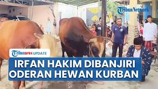 Irvan Hakim Jadi Kepercayaan Artis hingga Pejabat Negara untuk Penyaluran Hewan Kurban Idul Adha