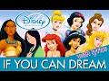 Disney Princess If You Can Dream With Lyrics