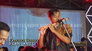 Download lagu Dangdut Koplo Kadung Tresno Dian Anic mp3