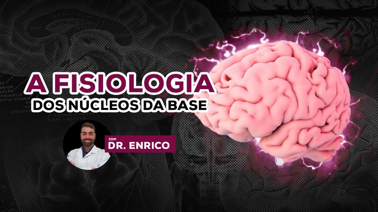 A Fisiologia dos Núcleos da Base (Neuroanato de A a Z)