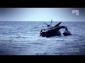 Whale Wars Season 4 Episode 3 One Year Ago