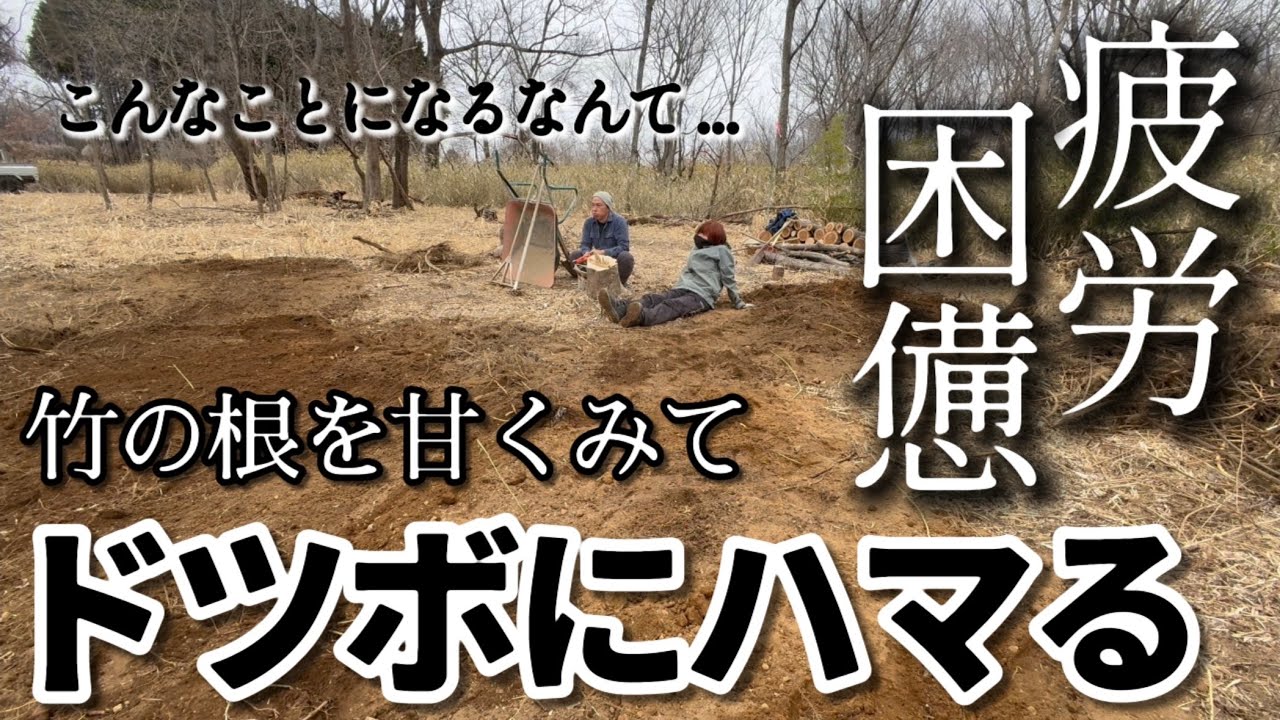 #7 体力消耗⤵︎竹の根にやられる地獄の穴埋め/咲き始めた庭のお花たち