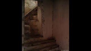 Desiderii Marginis - Deadbeat I