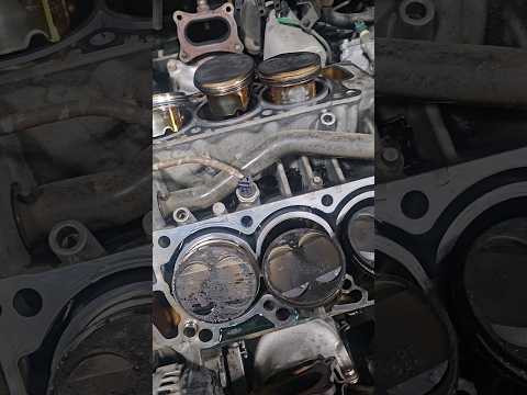 Piston Ring Replacement #carsofyoutube #mechanic #techtips #honda #shorts