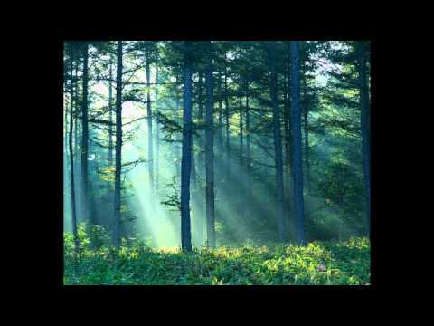 MAGIX Music Maker 17 Premium - Movie Score