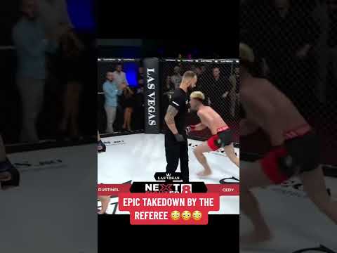 This ref has some moves 😳 (via rxf.nextfighter/IG)