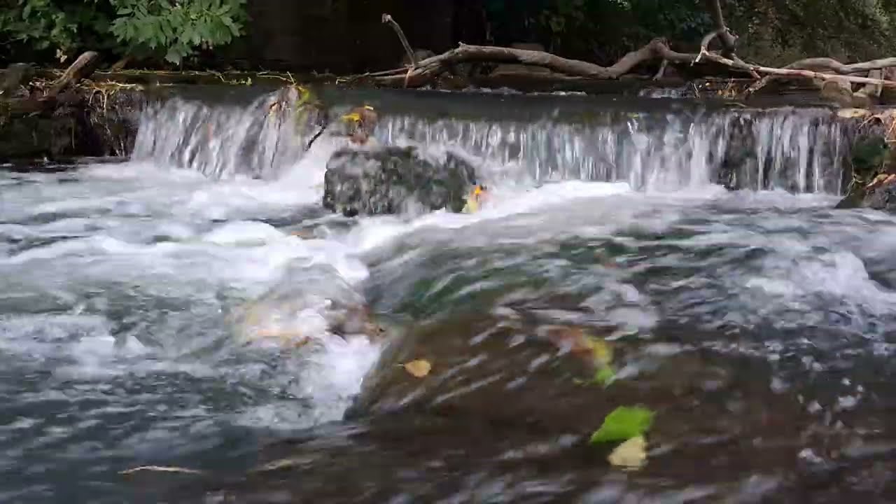 Peaceful Forest Waterfall