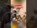 LOOK AT THIS MAN CATCHING HIS COW S POOP Trendingvideo Viralvideo Shorts Alexa