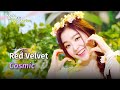 Red Velvet 레드벨벳 Cosmic Lyrics KBS WORLD TV 240628