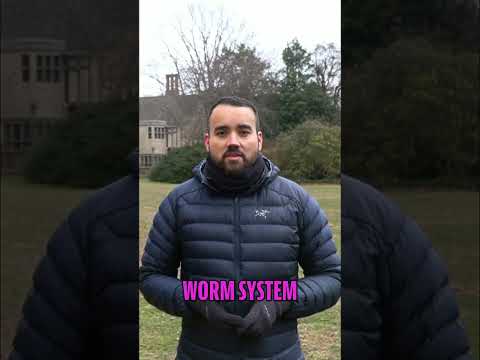 Mastering Biochar Worm Composting for Odor and Humidity Control