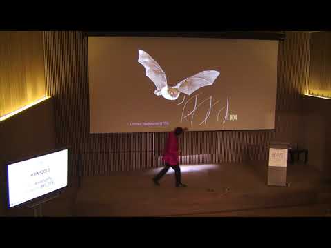 ¿Qué has hecho de nuevo hoy?