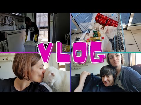 TRASLOVLOG - ULTIMO GIORNO - Vlog 16 ottobre 2021