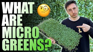 Thumbnail for video: What Are Microgreens? (Full Explanation)