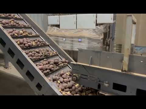 Conveyor Belt