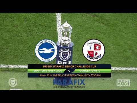 Brighton & Hove Albion vs. Crawley Town 09-05-18