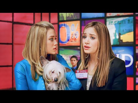 Girl Pretends to Be Her Shy Sister to Help Her Pass Work Interview but What Happens Surprises Them.