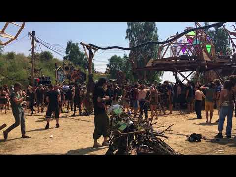 Kaya live freqs of nature 2017