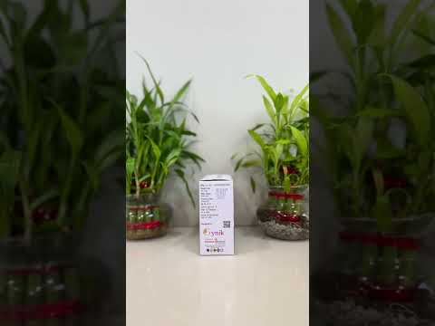 Progesterone SR tablet (Gestonik 300 SR)