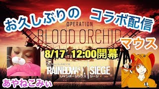 [FPS]窮鼠実況者のレインボーシックスシージ～あやねこみぃさんとコラボ配信～
