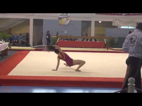 Finale zone ouest DIR GAF M/C/J/S à LANESTER 2013